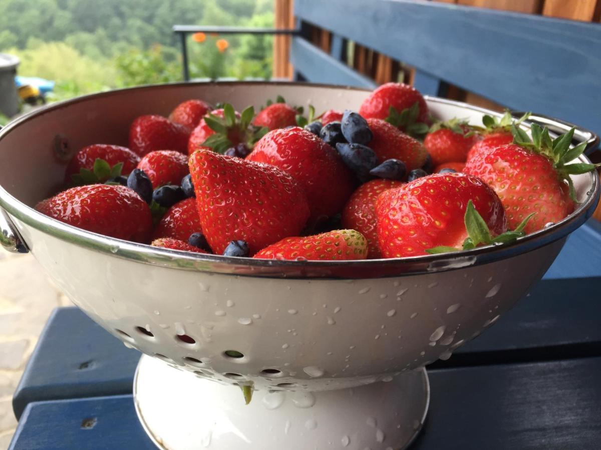Rose Hip Hill Farm Bed & Breakfast Valea Tirnei Exterior photo