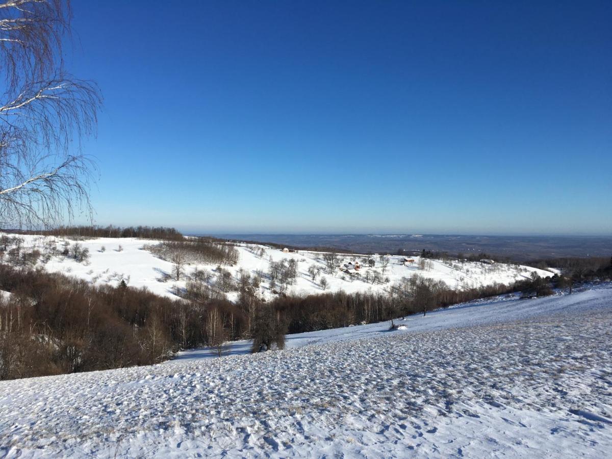 Rose Hip Hill Farm Bed & Breakfast Valea Tirnei Exterior photo