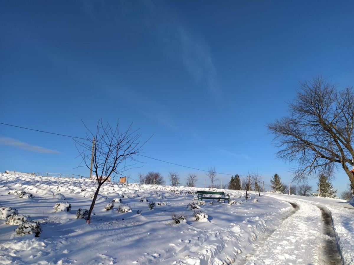 Rose Hip Hill Farm Bed & Breakfast Valea Tirnei Exterior photo