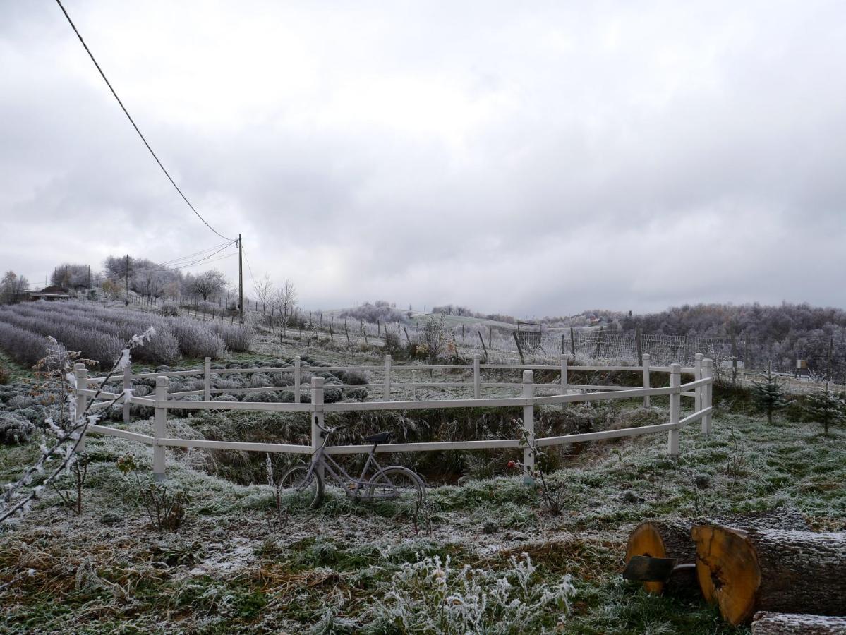 Rose Hip Hill Farm Bed & Breakfast Valea Tirnei Exterior photo